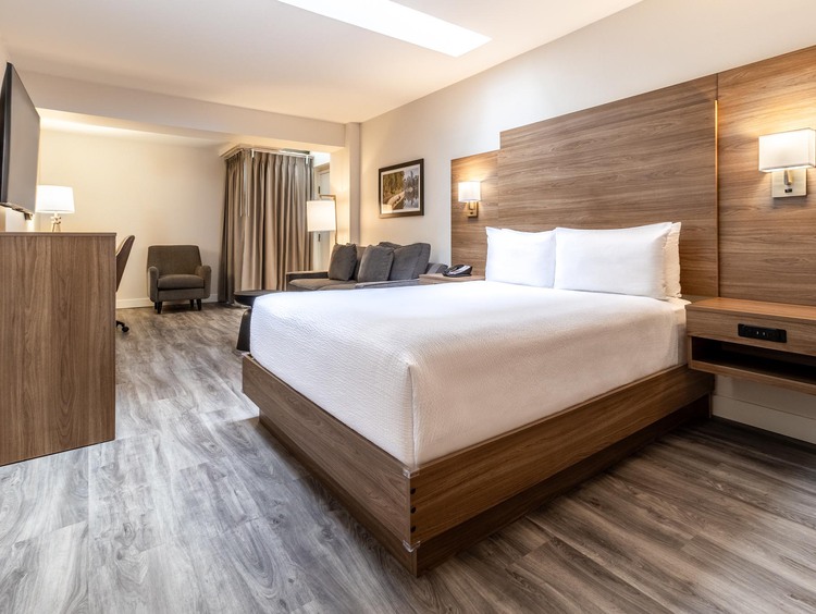 Interior Queen Room featuring a queen bed, sofa bed, work desk, TV, mini fridge, and microwave